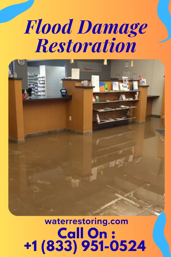 Flood Damage Restoration in Woodstock, MN